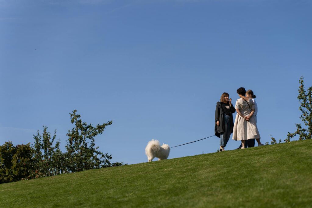 walking their dog on a grassy hill, a perfect example of places to go with your dog in Calgary for outdoor adventures