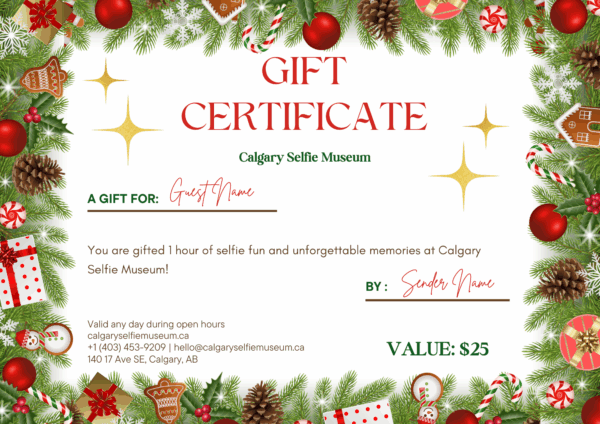 Calgary Selfie Museum Gift Card – 1 Hour Admission - Image 2